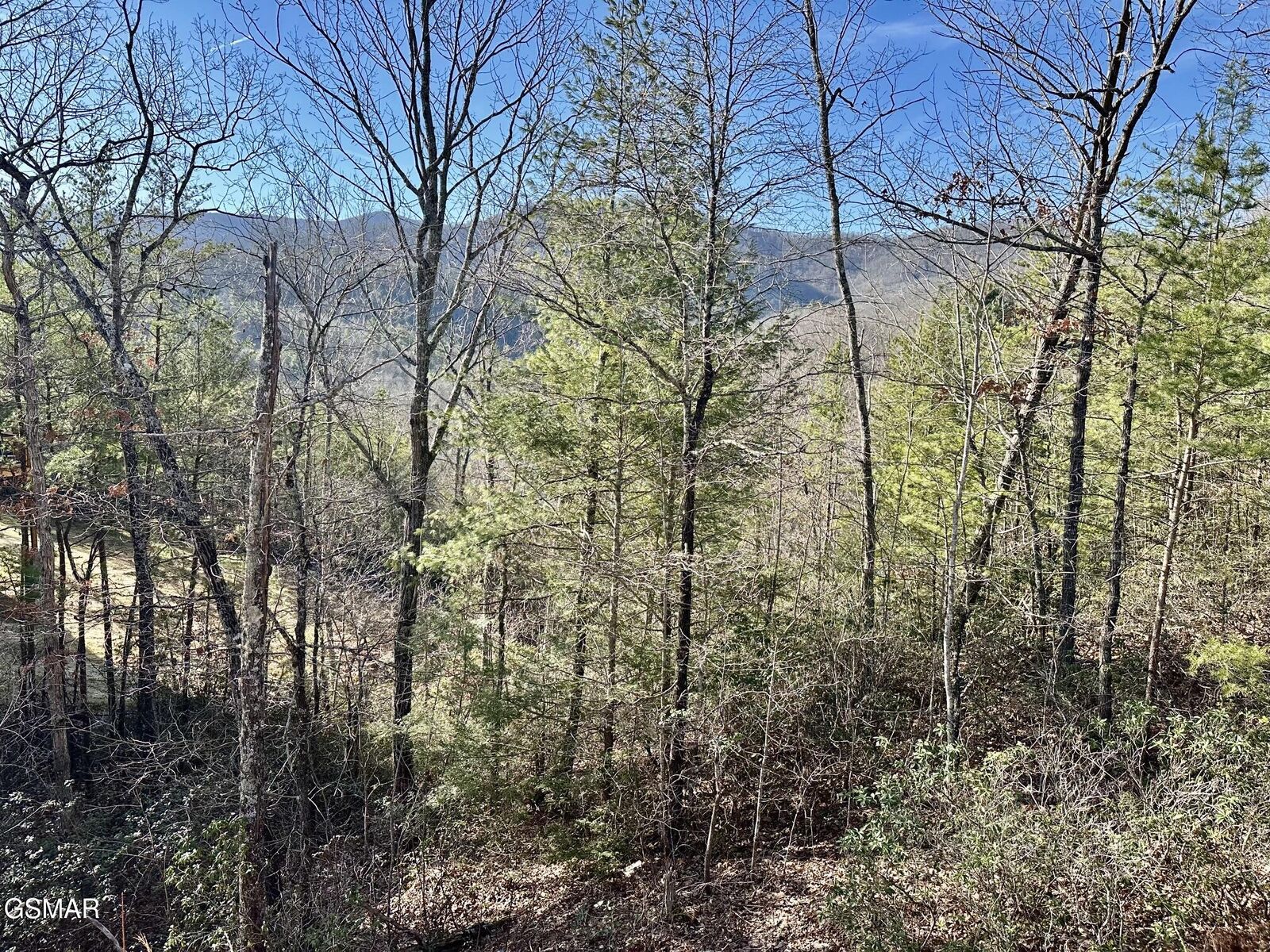 Property Photo: 1306 Morning Dove Way TN 37862