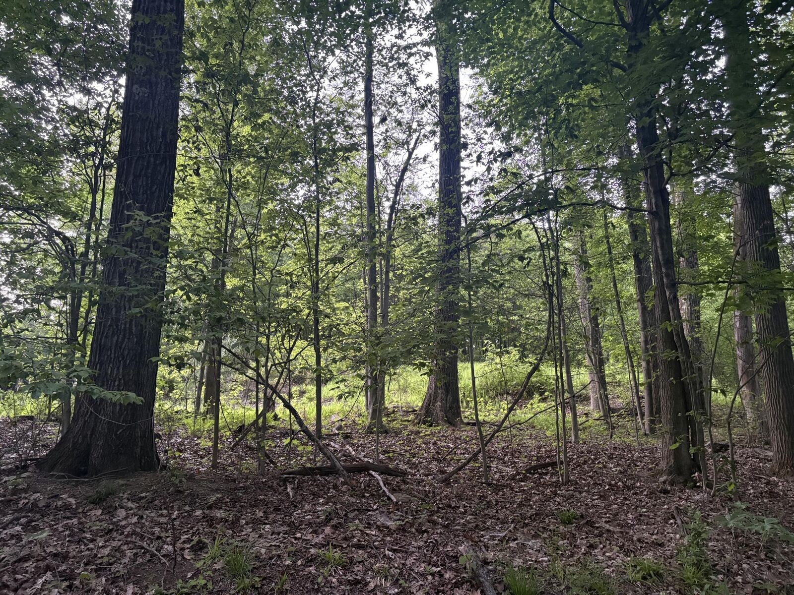Property Photo: 7C Portsmouth PA 15801