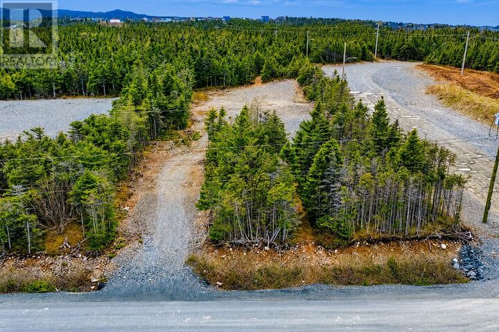 Property Photo:  2 Balsamwood Road  NL A1L 4K9 