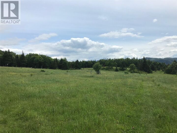 Property Photo:  198 Neddies Harbour Road  NL A0K 3V0 