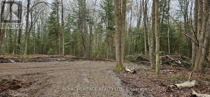 Property Photo:  0B Reid Street  ON K0M 2A0 
