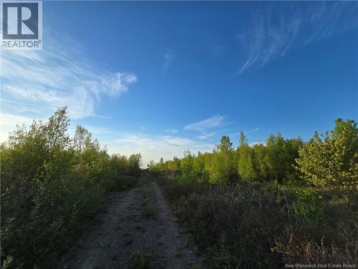 Property Photo:  Lot 1 Dingley Road  NB E4Z 1W1 