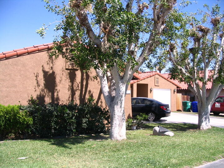 Property Photo:  32856 Canyon Vista Road  CA 92234 