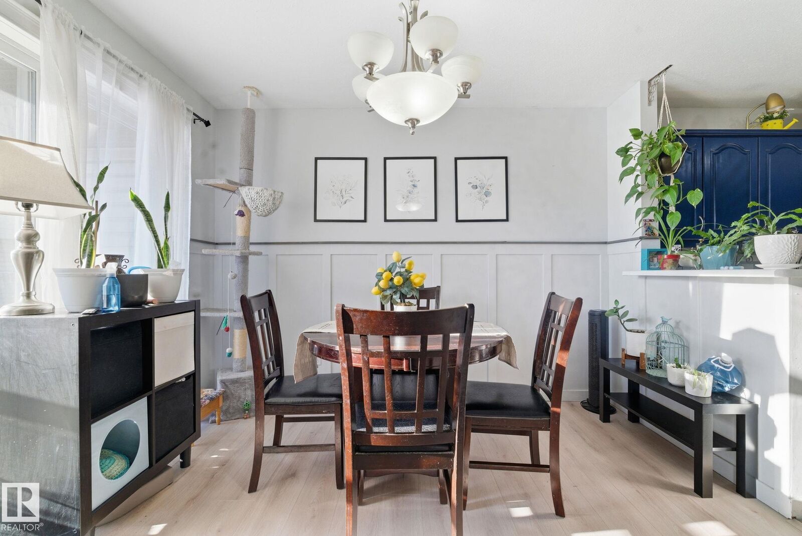 Property Photo:  2505 42 Street NW 62  AB T6L 7G8 