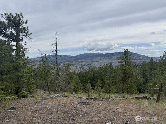 Property Photo:  111  Tbd Patterson Creek  WA 98855 
