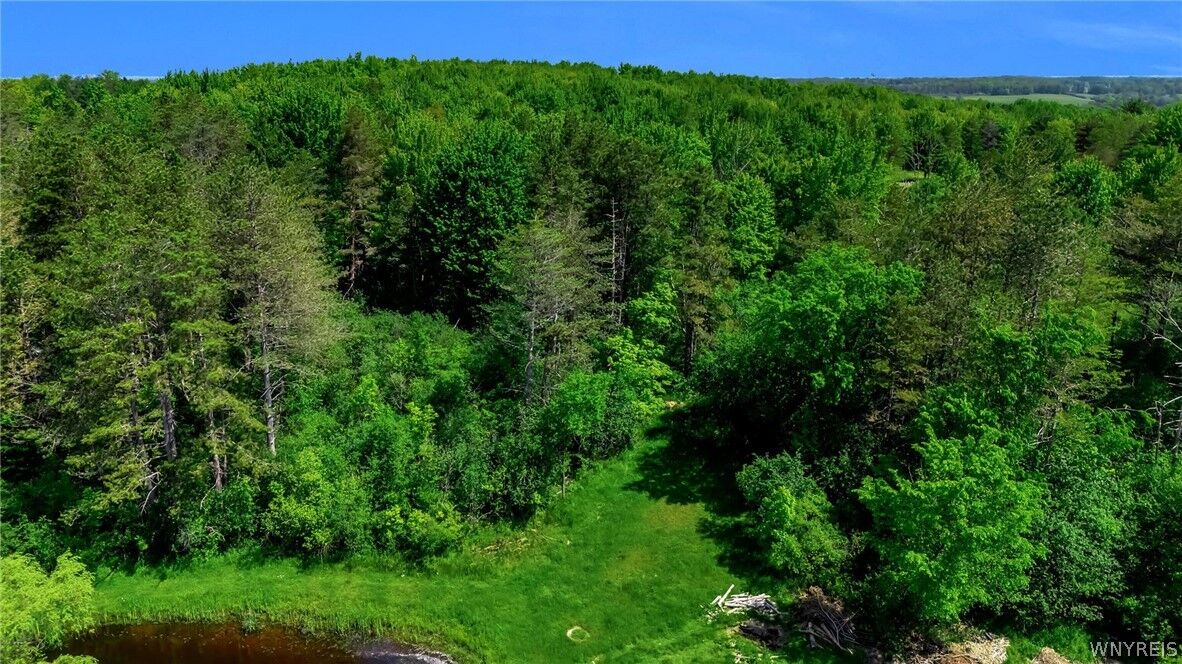 Property Photo:  706 Jewett Holmwood Road  NY 14052 