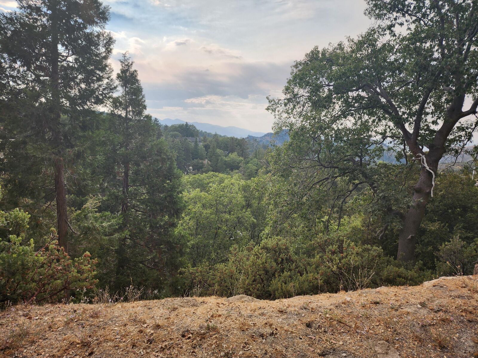 Property Photo: 0 Evergreen Lane CA 92352