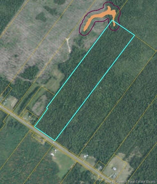 Property Photo:  Lot Route 11  NB E1N 5C7 