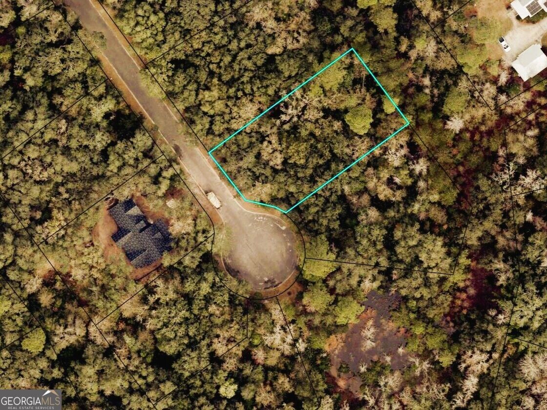 Property Photo:  111 Overhand Court  GA 31558 