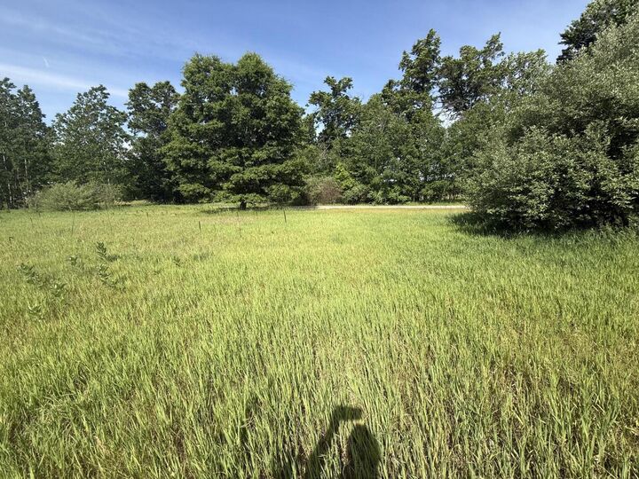 Property Photo:  W Royal Road  MI 49346 