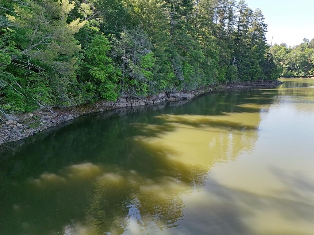 Property Photo: Lot 2 Big Knoll Drive GA 30512