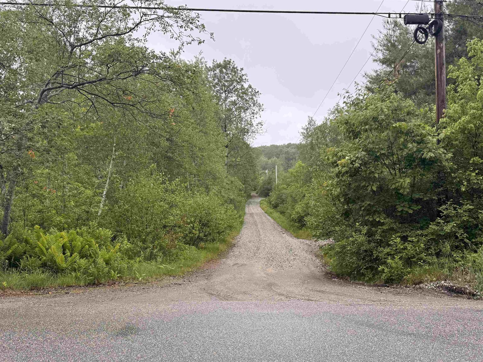 Property Photo:  101 Gilsum Road  NH 03445 