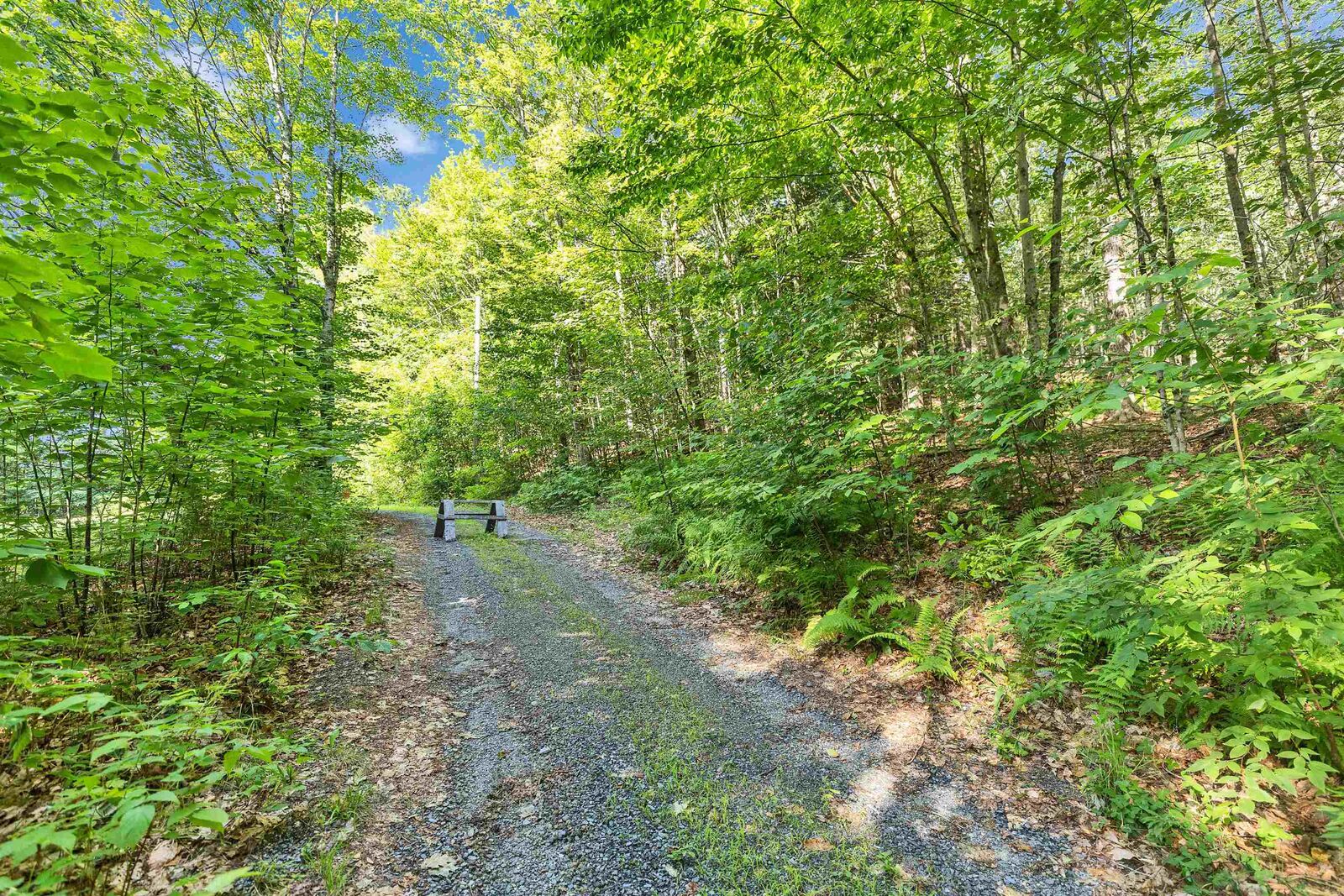 Property Photo:  101 Gilsum Road  NH 03445 