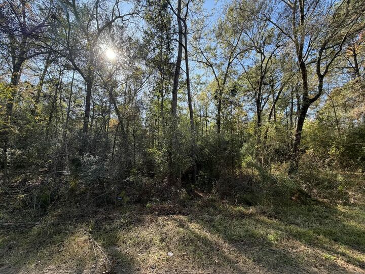 Property Photo: Lot 8A Private Road 2055 TX 77564