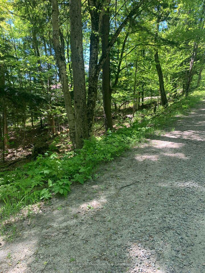 Property Photo:  00 Wurm Road  ON P0A 1P0 