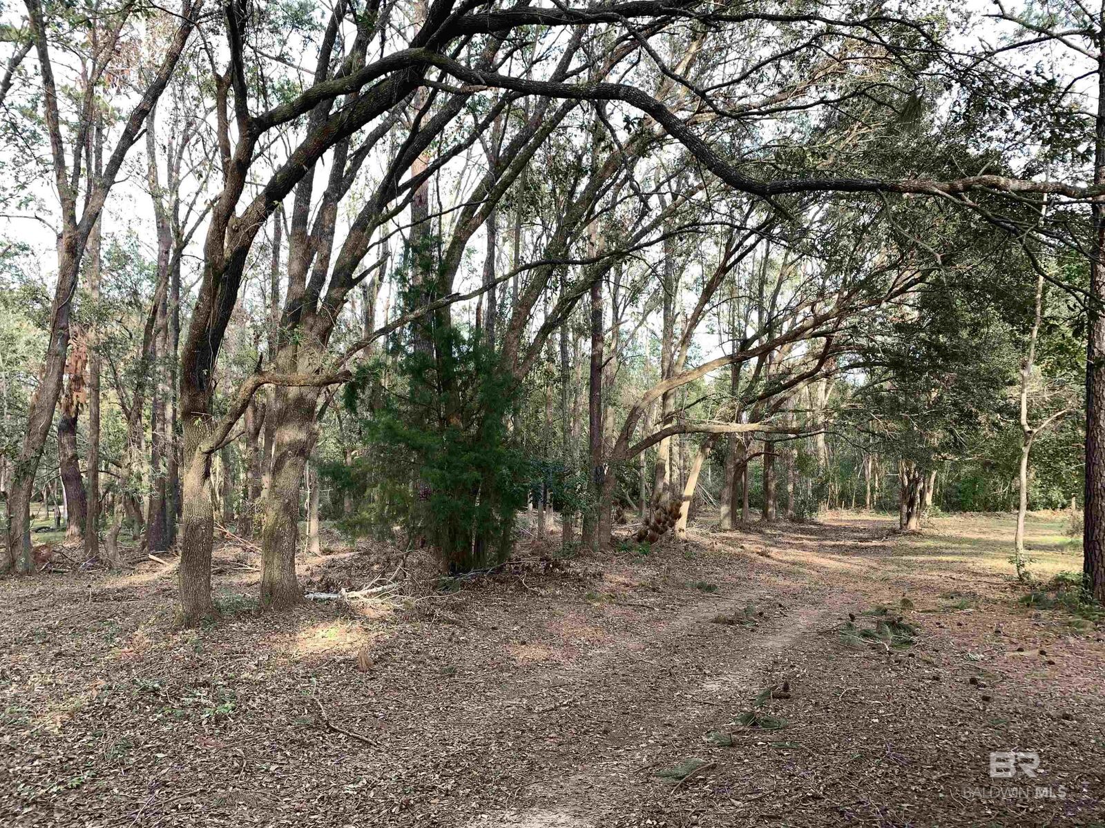 Property Photo:  8789 County Road 11  AL 36532 