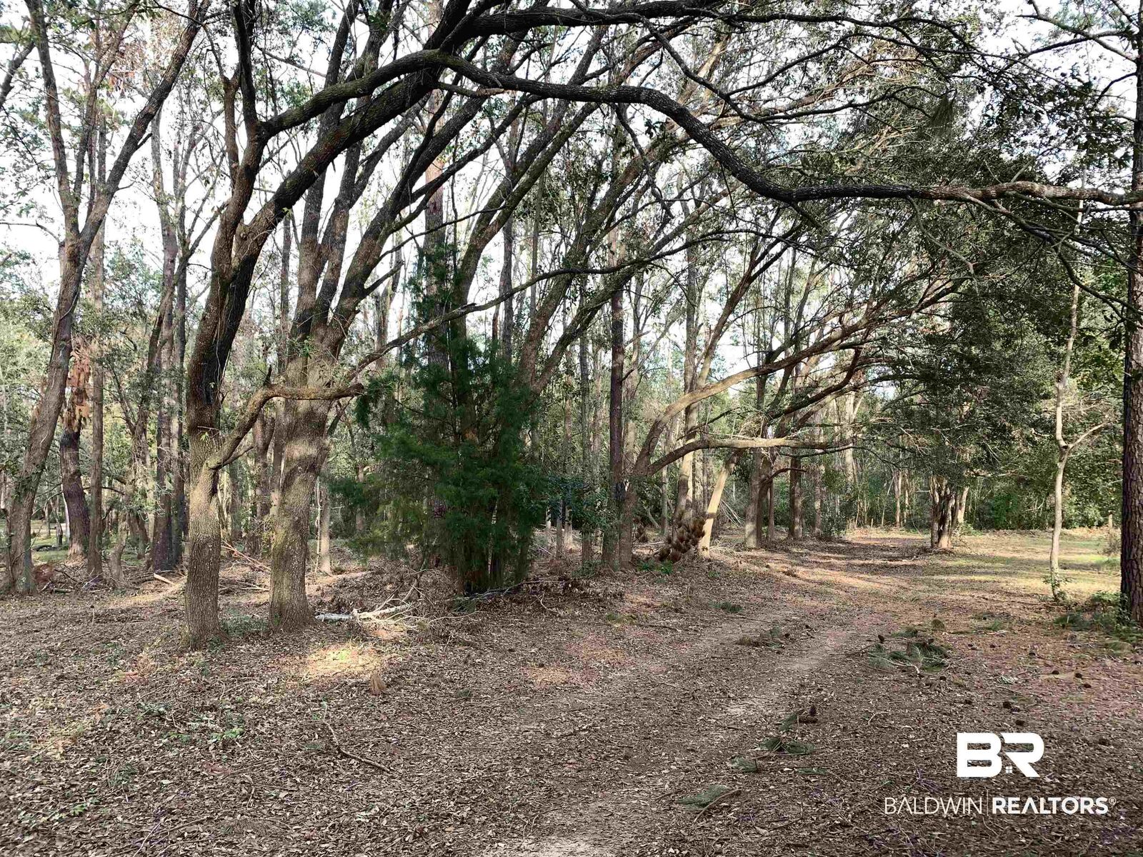 Property Photo:  8789 County Road 11  AL 36532 