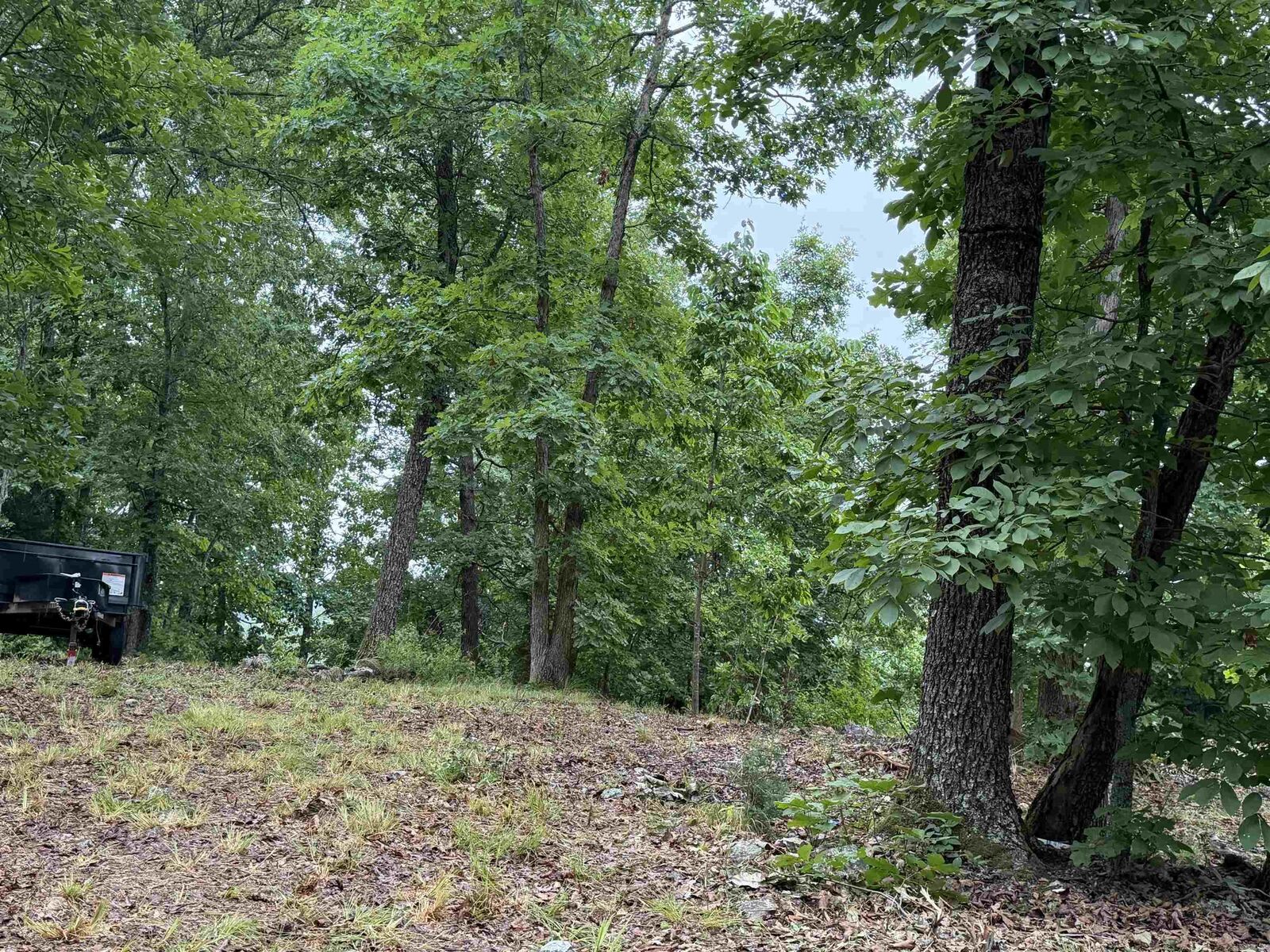 Property Photo:  Off Of Morgan Cave Road  AR 72601 