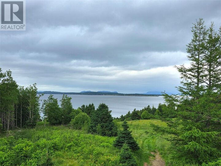Property Photo:  Route 450 Hwy Highway  NL A0L 1E0 