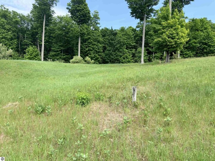 Property Photo: 00 W Sleepy Valley Drive MI 49630