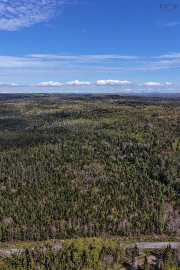 Property Photo:  Lot 12 Highway 19  NS B0E 1X0 