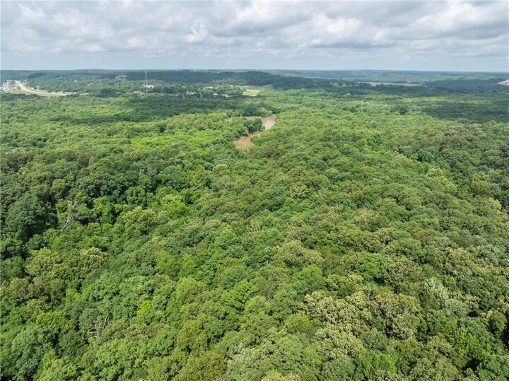Property Photo: Tbd Spring Harbor Road AR 72761
