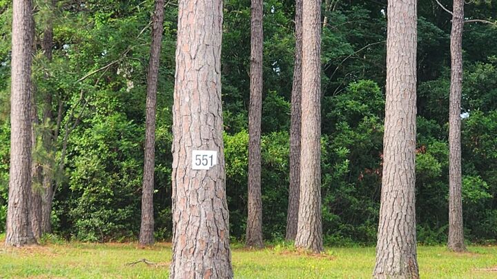 Property Photo: 1152 Fiddlehead Way SC 29579