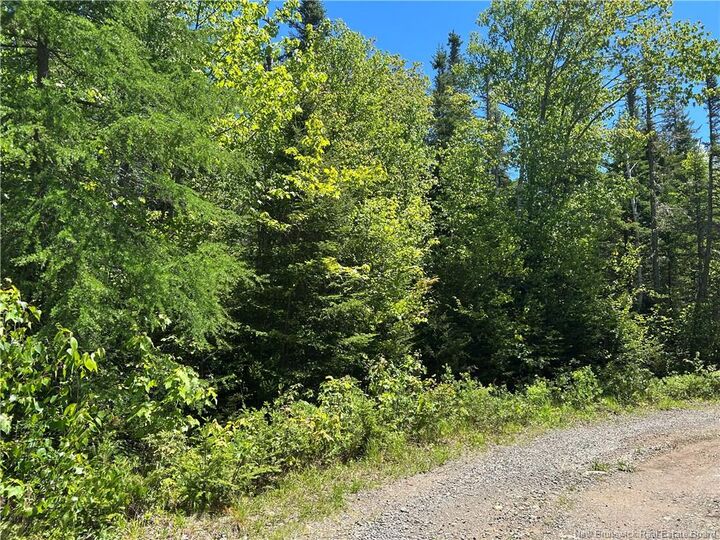 Property Photo:  Lot Nelson Lake Road  NB E5K 4W2 