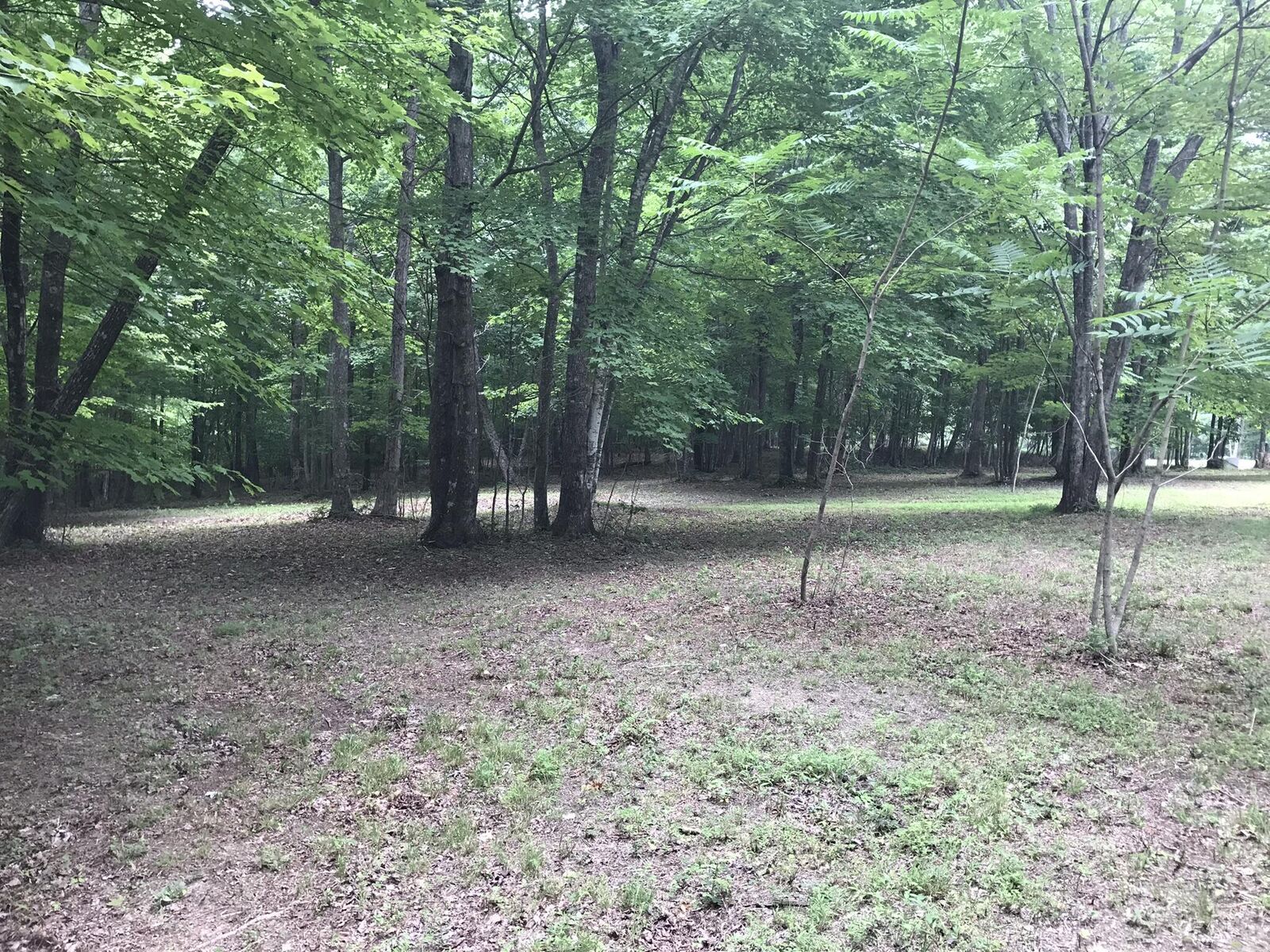 Property Photo:  503 Wilderness Way  TN 37327 