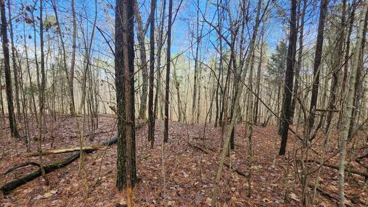 Property Photo:  0 Crockett Point  TN 37347 