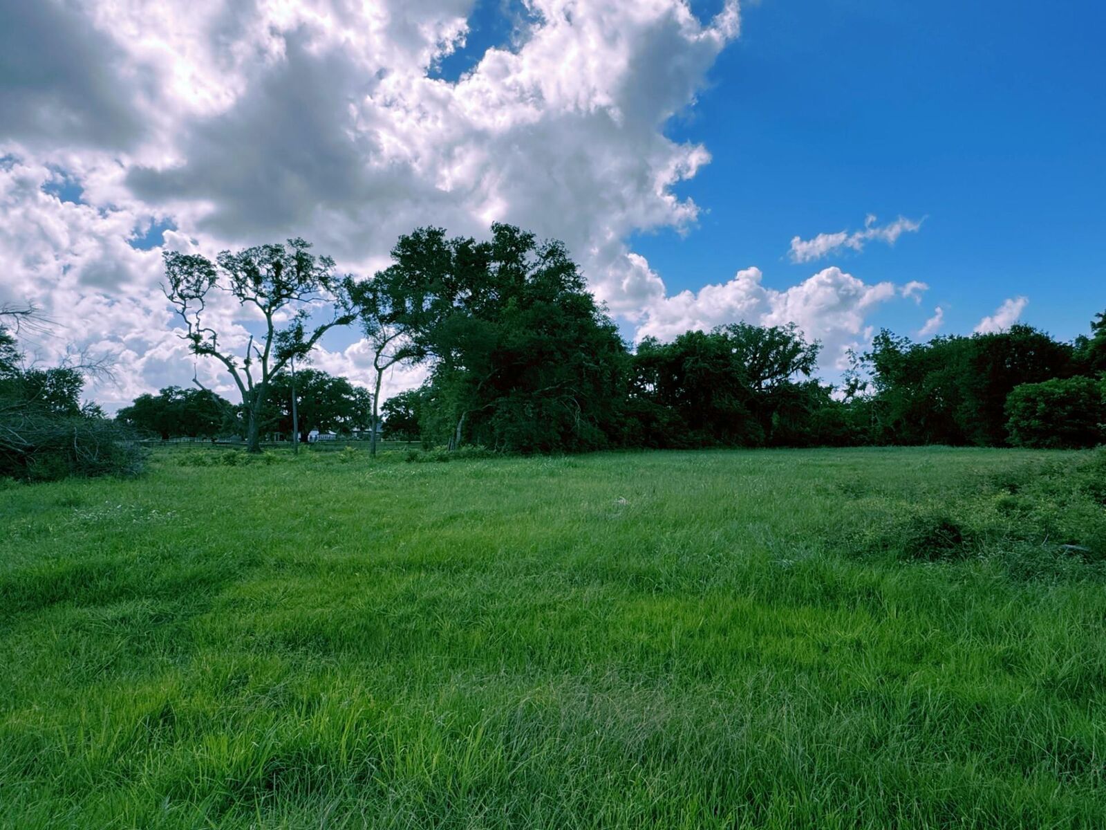 Property Photo: 1044 Winchester Trail TX 77515