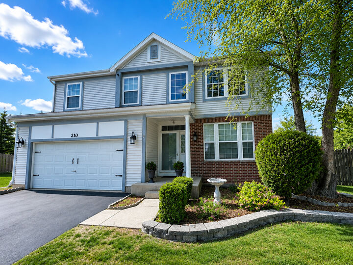 Property Photo: 210 Balmoral Court IL 60139