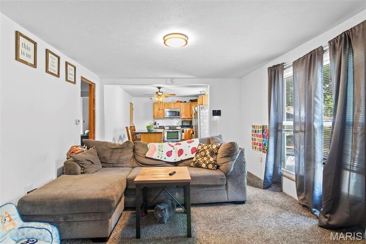 Property Photo:  1013 N Van Buren Street  IL 62056 
