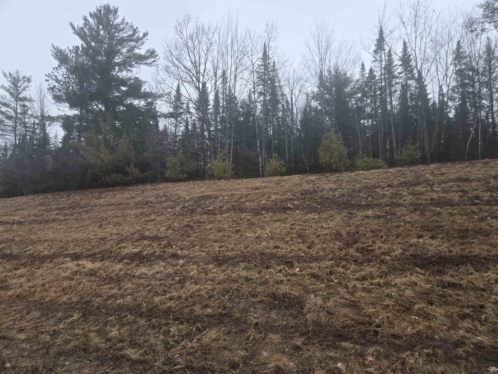 Property Photo: 00 Whitefield Road NH 03574