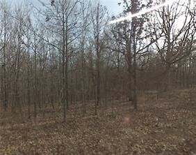 Property Photo:  Lot 30 Montgomery Lane  AR 72715 