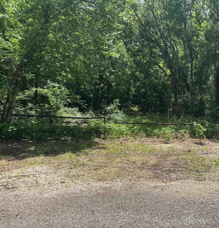 Property Photo:  Bamboo Road  LA 70531 