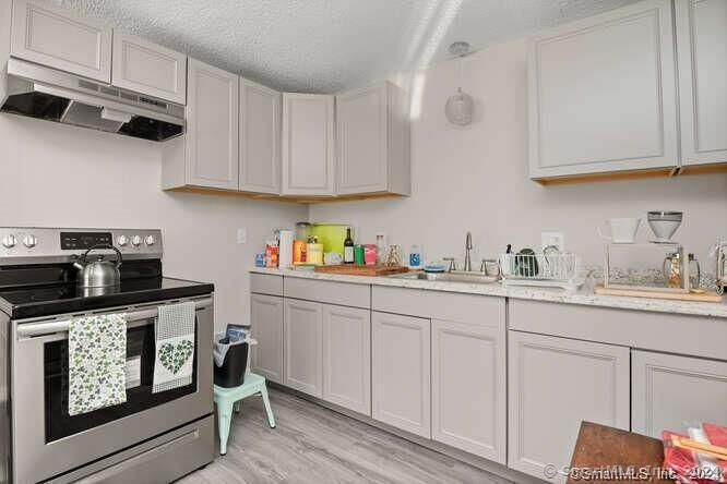 Property Photo:  298 Old Waterbury Road 1  CT 06488 