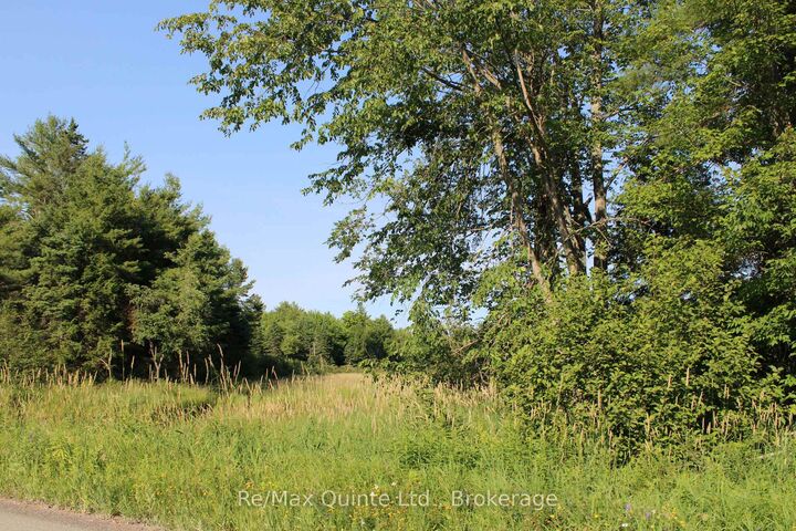494 Twin Sister Lakes Road — photo 1