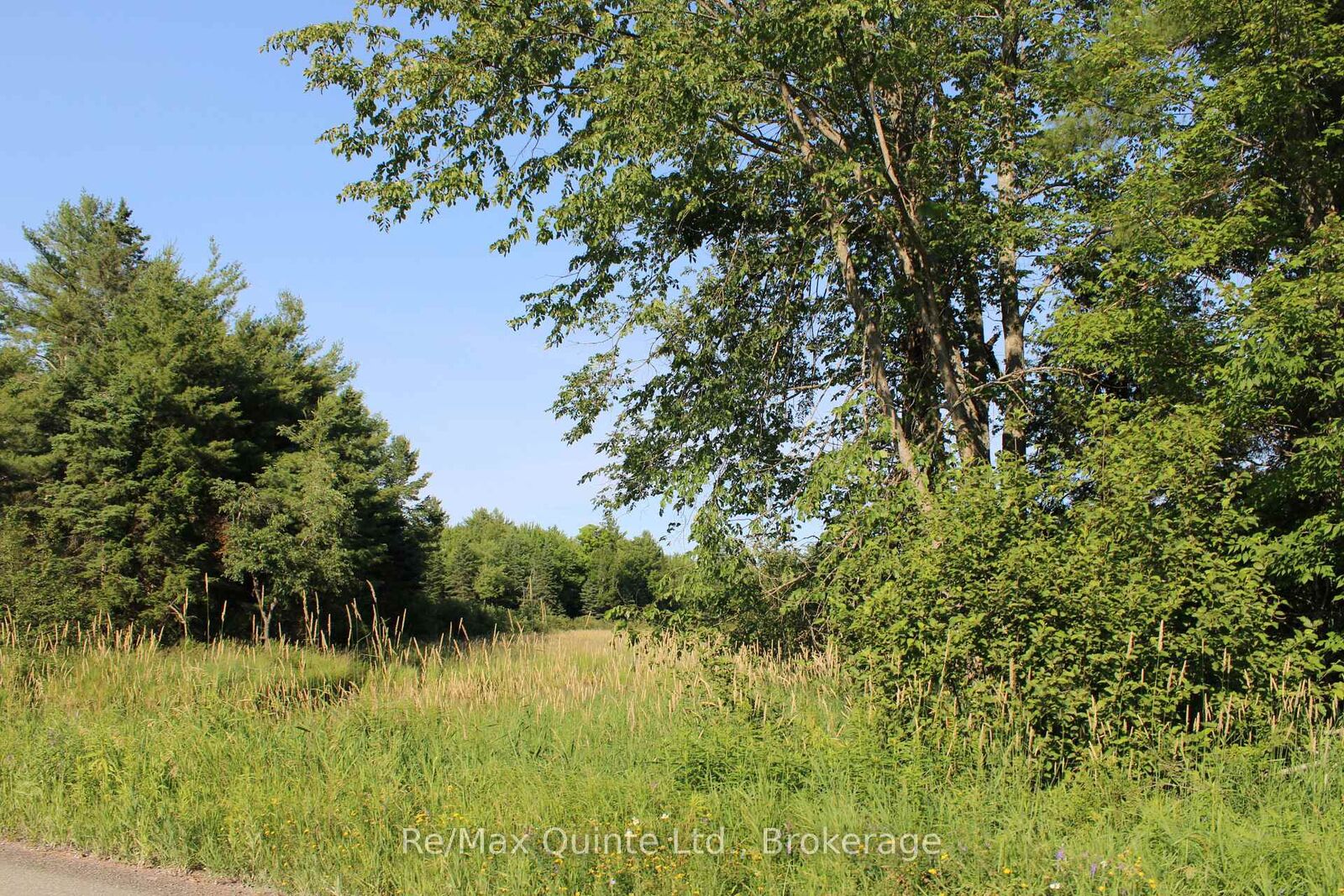 Property Photo:  494 Twin Sister Lakes Road  ON K0K 2M0 
