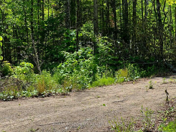 Property Photo:  0 Buckshot Lake Road  ON K0H 1K0 