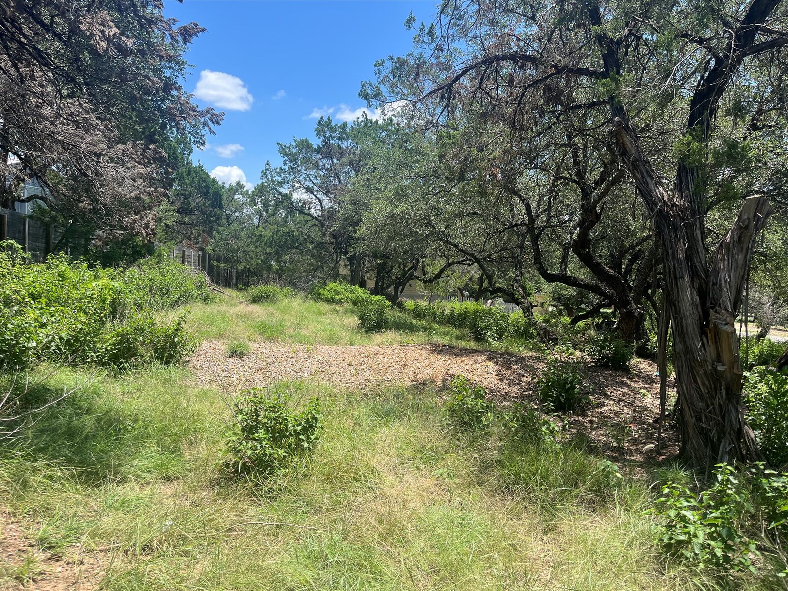 Property Photo:  19508 Timberline Drive  TX 78669 
