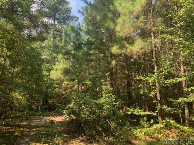 Property Photo: Lot 5 Oklahoma Inn Road AR 72015