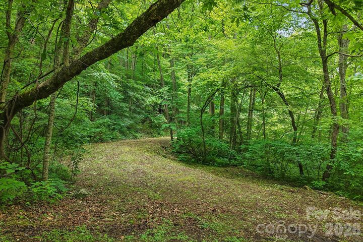 Property Photo:  00 Sequoyah Drive  NC 29786 