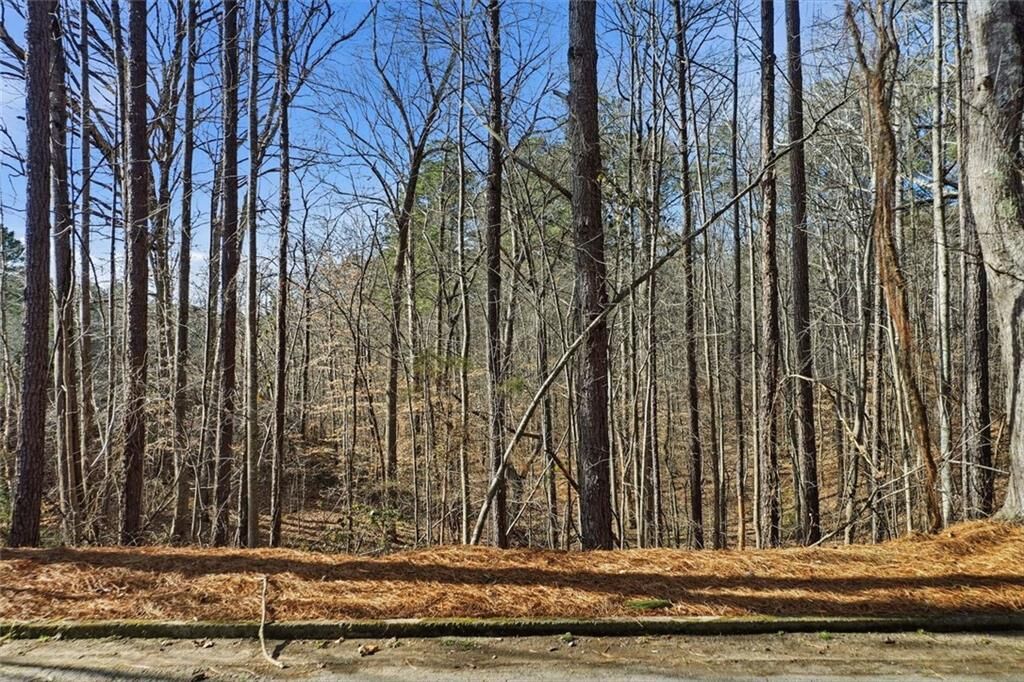 Property Photo:  0 Sixes Road  GA 30114 