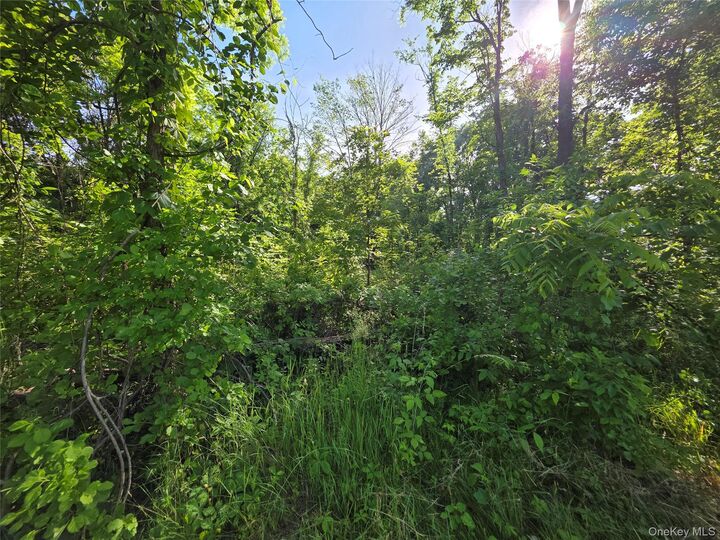 Property Photo: 140 Mount Airy Road NY 12553
