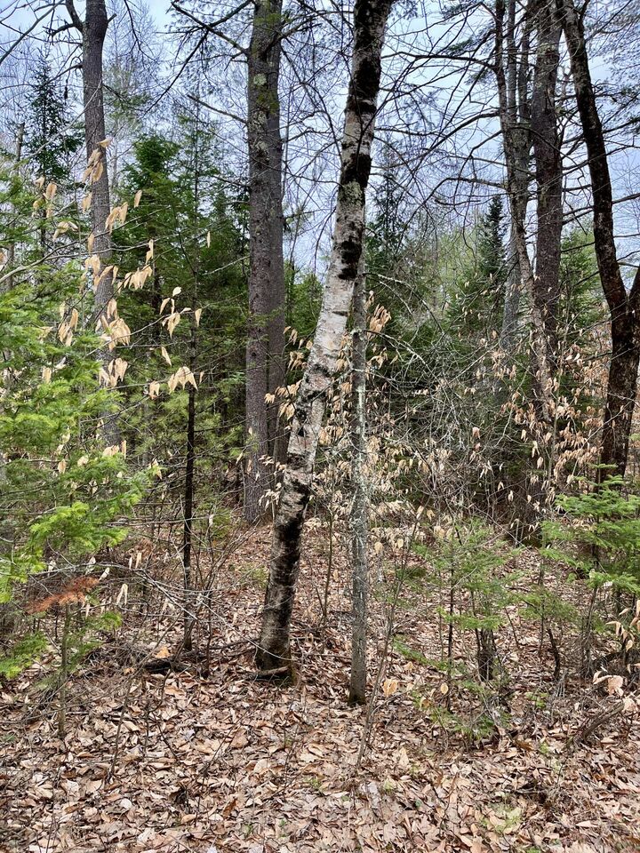Property Photo:  0009A Church Hill Road  ME 04263 