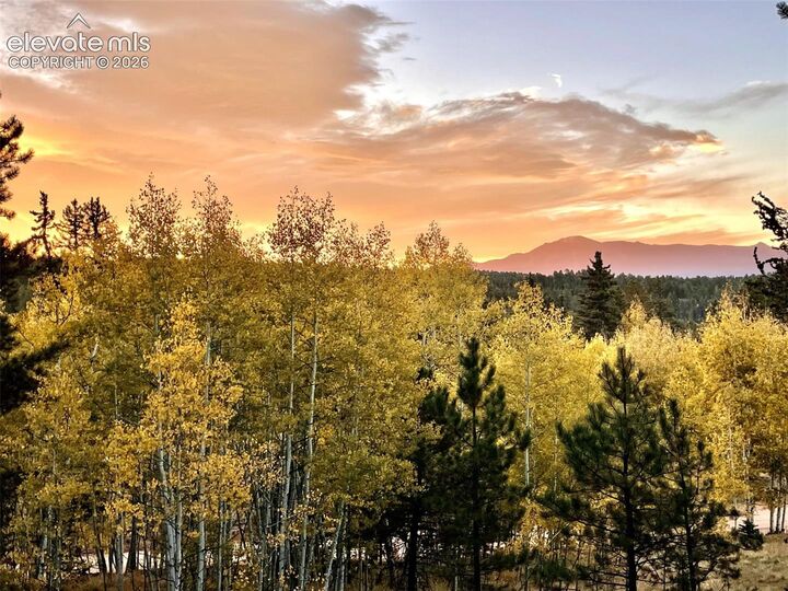 Property Photo: 2927 Pathfinder Road CO 80816