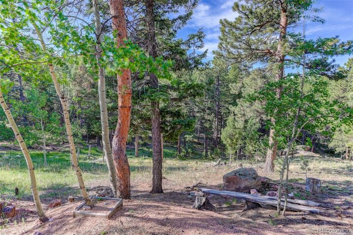 Property Photo: 4 Honeysuckle Road CO 80863