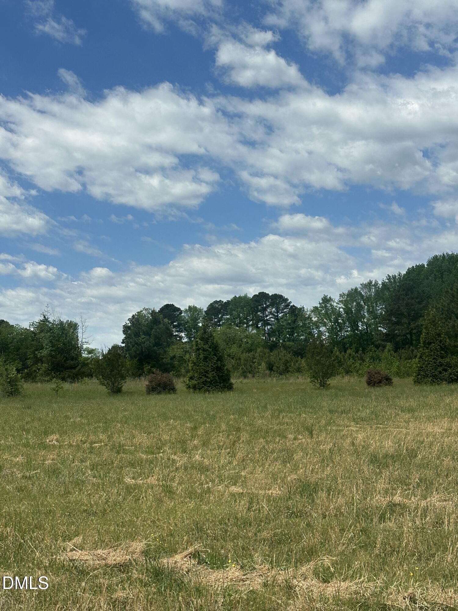 Property Photo: 0 Nc-96 NC 27596