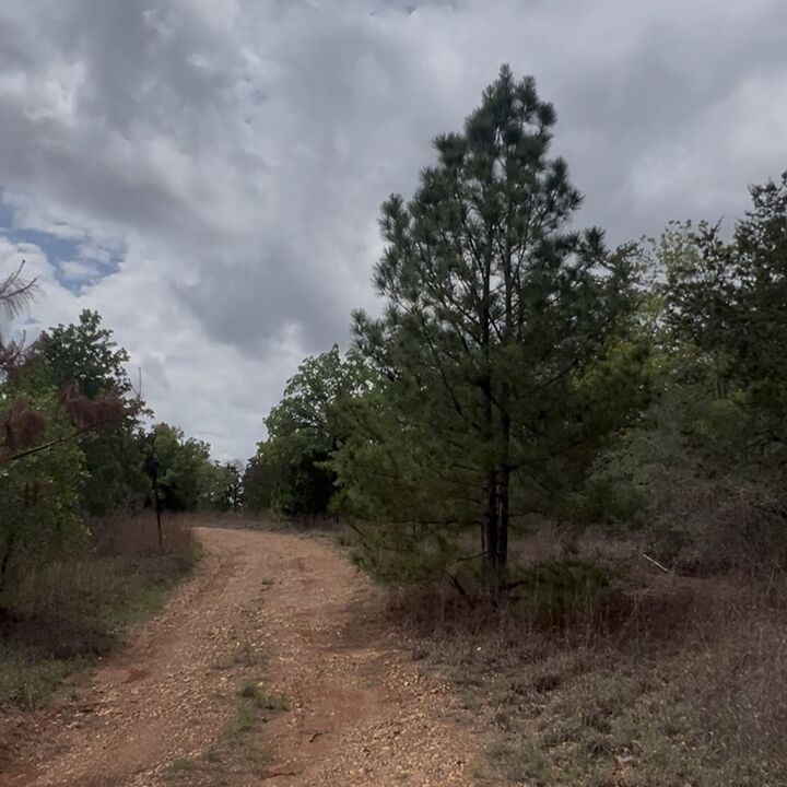 Property Photo: Lot 15 Antioch Road TX 78659